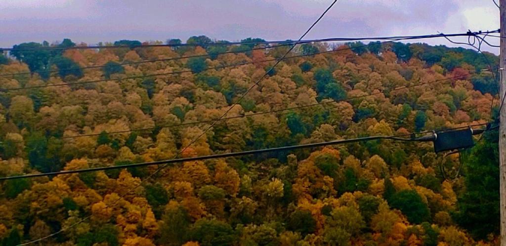 Time Of Loss…now&nbsp;what?